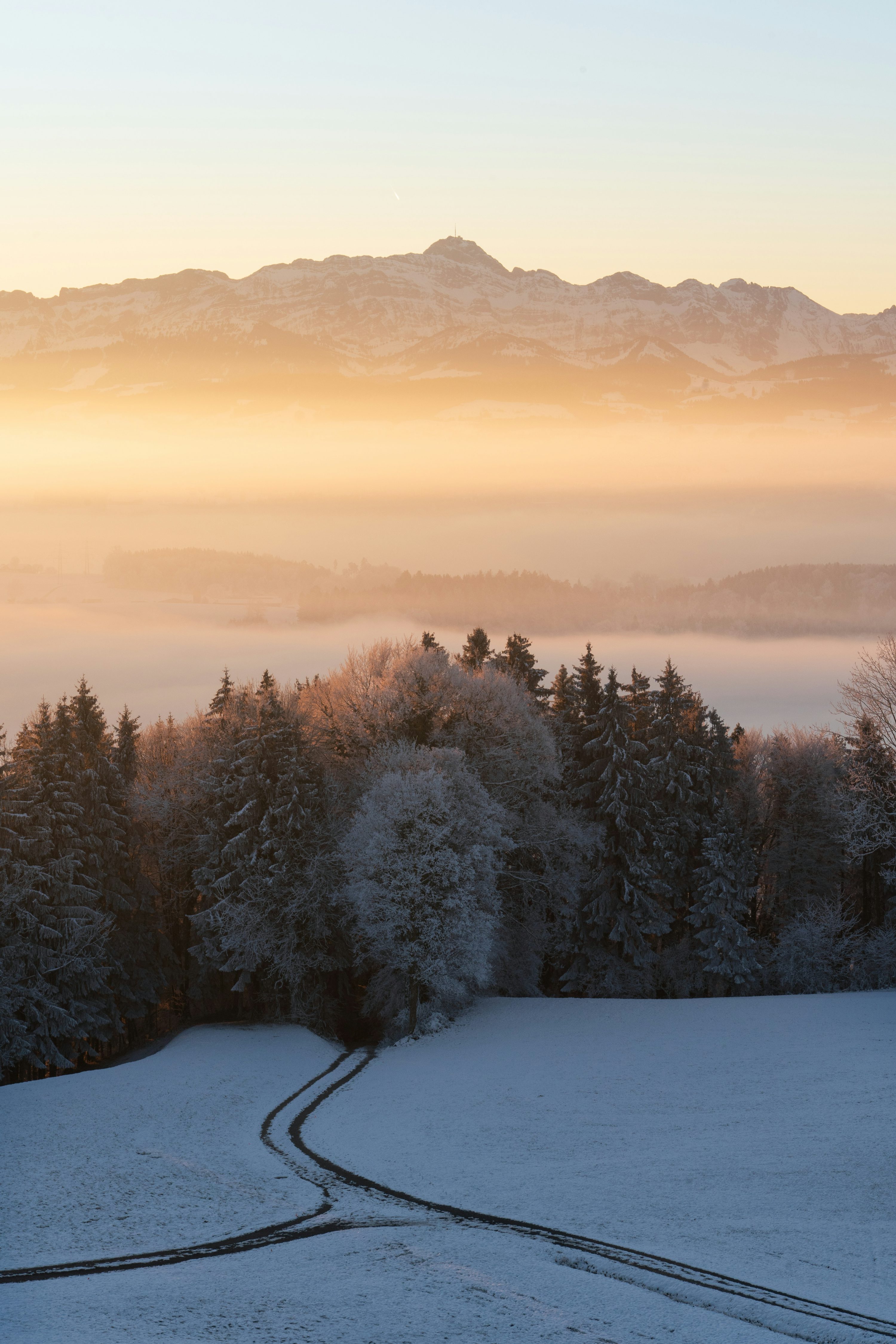 A snow covered field with trees and mountains in the background